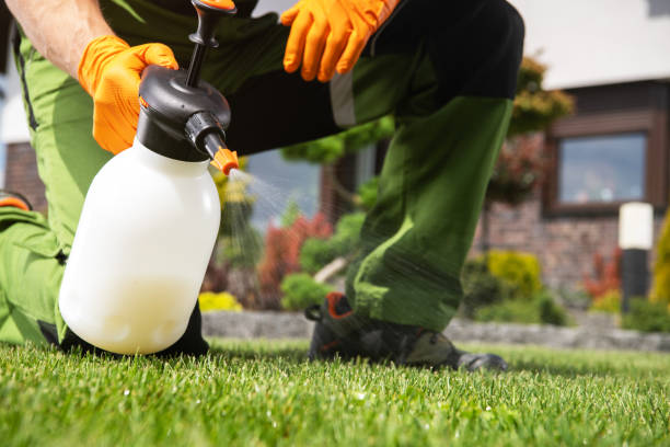 Best Bed Bug Extermination  in Wrens, GA