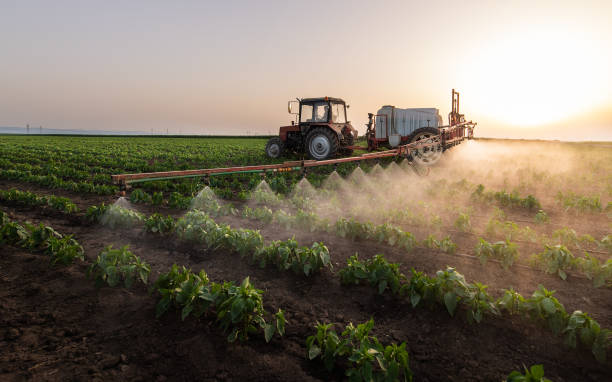 Professional Pest Control in Wrens, GA