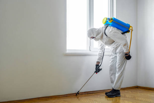Best Residential Pest Control  in Wrens, GA