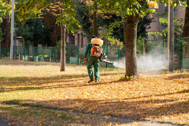 Best Wildlife Control Services  in Wrens, GA