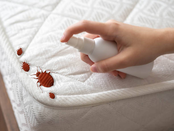Best Termite Control Services  in Wrens, GA