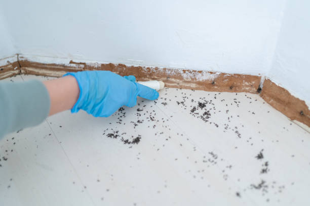 Best Pest Removal Services  in Wrens, GA