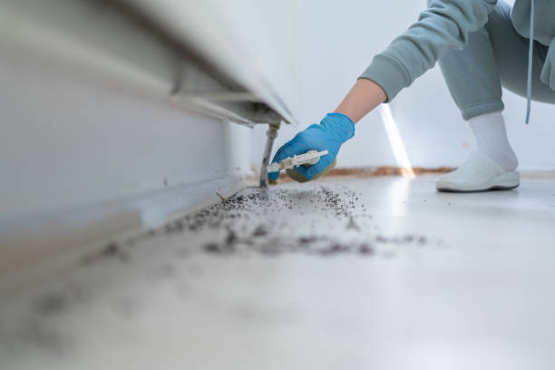 Best Pest Inspection Near Me  in Wrens, GA