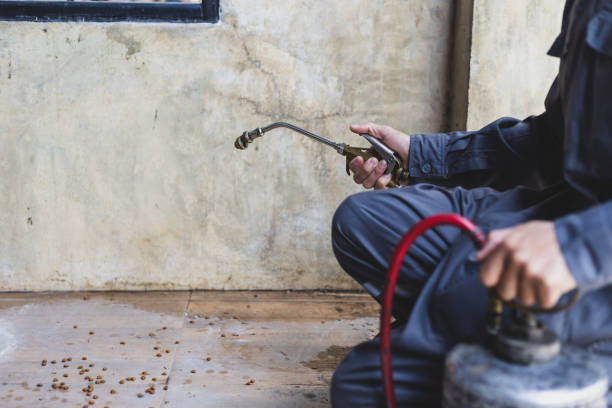 Best Ant Control Services  in Wrens, GA