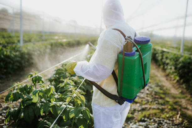Best Pest Prevention Services  in Wrens, GA